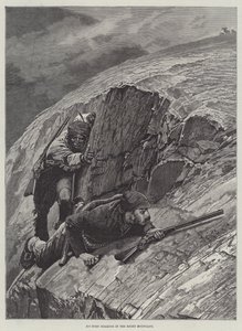 Grande corno che si avvicina nelle Montagne Rocciose