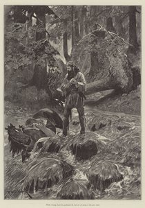 Aquila Joe, di Henry Herman