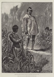 Nada il giglio, di H Rider Haggard da Richard Caton Woodville junior