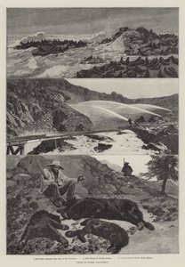 Vedute dell