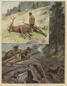 Caccia al wapiti in Nord America