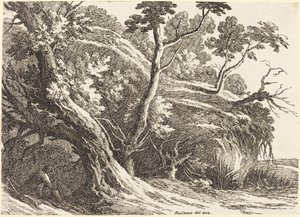Paesaggio con Grandi Alberi da Richard Cooper II