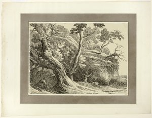 Paesaggio con grandi alberi, dal primo numero di Esemplari di poliautografia da Richard Cooper II