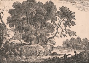 Paesaggio con gruppo di alberi circondati dall