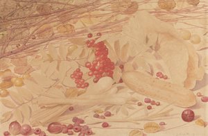 Natura morta con uva spina, lamponi, ribes rosso, cipollotti, un cetriolino e fogliame da Richard Dadd