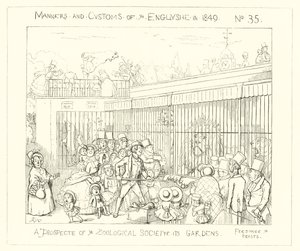 1849, Una prospettiva dei Giardini della Società Zoologica da Richard Doyle