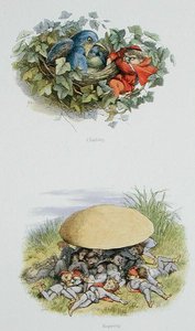 Arrampicarsi e Riposarsi, illustrazioni da 