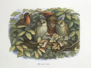 Elfo e gufi