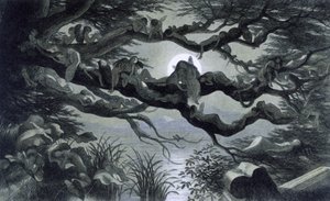 Fate, ninfe ed elfi che riposano al chiaro di luna su un ramo? Illustrazione di "In Fairy land. A series of pictures from the elf - world" di Richard Doyle 1869-1870 The British Library Institution Reference: Shelfmark ID: 1876 e18 