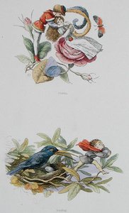 Flirtare e rubare, illustrazioni da 