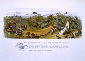 Illustrazioni da 