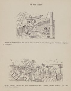 Pagina da 