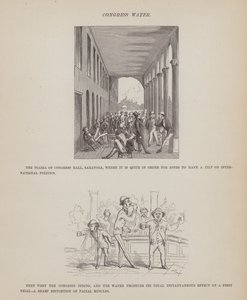 Pagina da Il tour americano dei signori Brown, Jones e Robinson