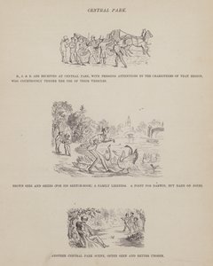 Pagina da Il tour americano dei signori Brown, Jones e Robinson da Richard Doyle