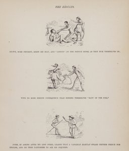Pagina da Il tour americano dei signori Brown, Jones e Robinson (incisione) da Richard Doyle