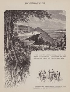 Pagina da Il tour americano dei signori Brown, Jones e Robinson (incisione) da Richard Doyle
