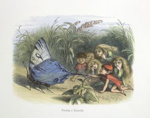 Stuzzicare una farfalla da Richard Doyle