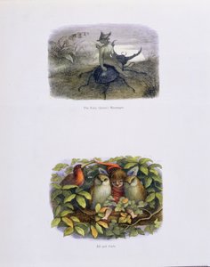 Il messaggero della regina delle fate, e elfo e gufi, illustrazioni da 