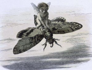 Un elfo che cavalca una farfalla. Illustrazione di Richard Doyle tratta da "In Fairy land. Una serie di immagini dal mondo degli elfi" accompagnata da una poesia di W Allingham. 1869-1870. The British Library Institution Reference: Shelfmark ID: 1876 e18 