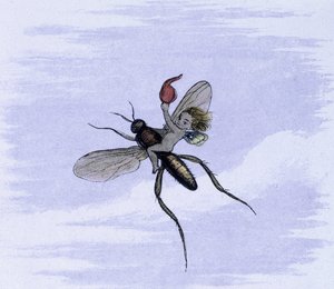 Un elfo sul dorso di un insetto. Illustrazione di Richard Doyle tratta da 