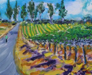 Una passeggiata nella regione vinicola, Napa, 2017