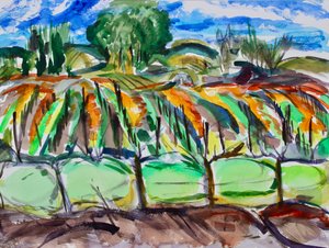 Vigneti Autunnali, Napa, 2017 da Richard Fox