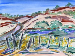 Colline Secche, California del Nord, 2021