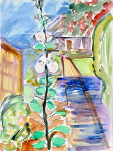 Malvarose da Richard Fox