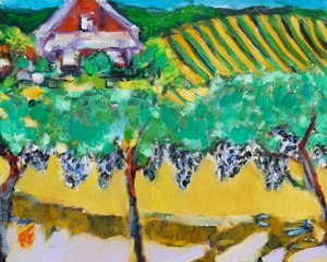 Uva Merlot, Napa, 2017 da Richard Fox