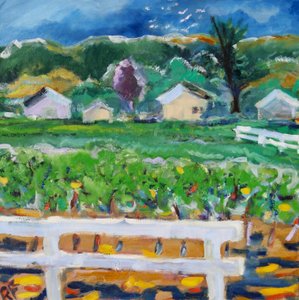 La recinzione rotta, Napa da Richard Fox