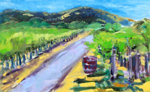 Vigneto con Botte, Napa, 2019