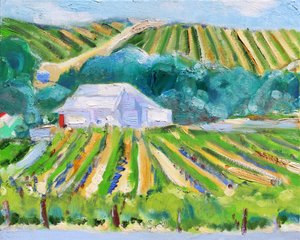 Fienile bianco e vigneto, Napa, 2019