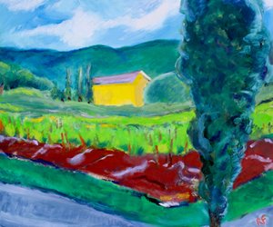 Casa Gialla, Sonoma, 2017