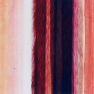 Striscia X, 2005