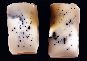 Senza Titolo (doppio studio)