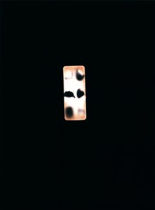 Senza titolo da Richard Green