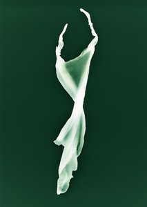 Senza titolo da Richard Green