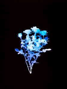 Senza titolo, 2008 da Richard Green