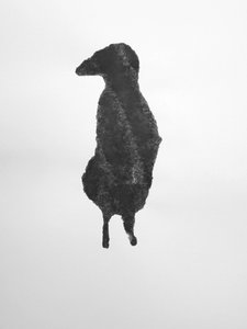Senza titolo, 2009 (monotipo) da Richard Green
