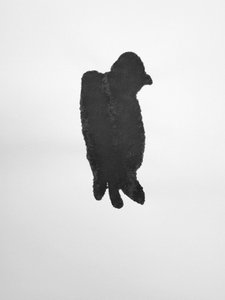 Senza titolo, 2009 (monotipo) da Richard Green