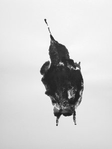 Senza titolo, 2009 (monotipo) da Richard Green