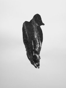 Senza titolo, 2009 (monotipo) da Richard Green