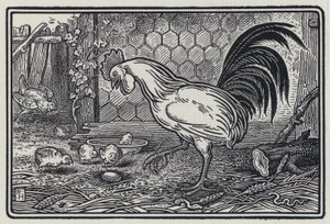 Il Gallo e La Perla da Richard Heighway