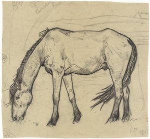 Cavallo al pascolo a Noordwijk da Richard Nicolaüs Roland Holst