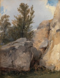 Nella foresta di Fontainebleau da Richard Parkes Bonington