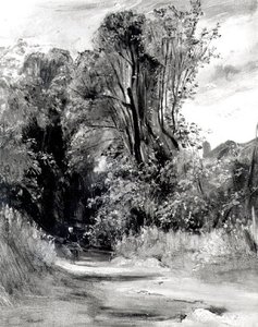Sentiero attraverso un bosco