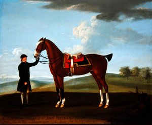 Il cavallo da caccia 