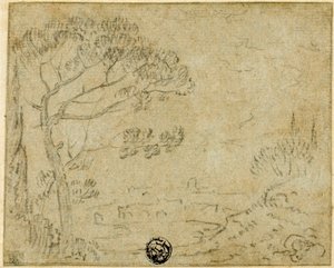 Paesaggio italiano con pino ombrello in primo piano da Richard Wilson