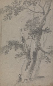 Pastore seduto sotto un albero da Richard Wilson
