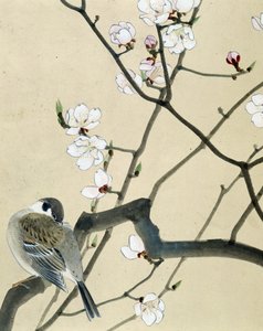 Uccello - disegno giapponese di Riou Chim da Riu Chim